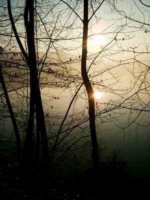 Stimmung_See_02_2003_01.jpg (54554 Byte)
